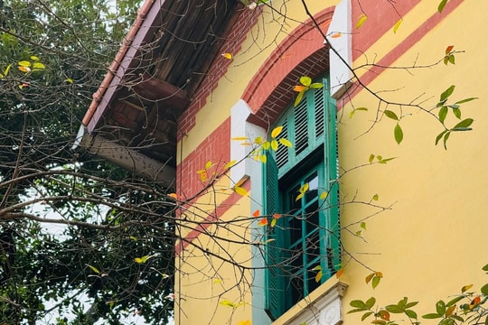 Trường Bưởi - Chu Văn An, biểu tượng của văn hóa và tri thức Hà Nội