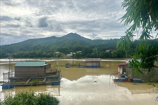 Rủi ro với nghề nuôi cá lồng trên lòng hồ thủy điện