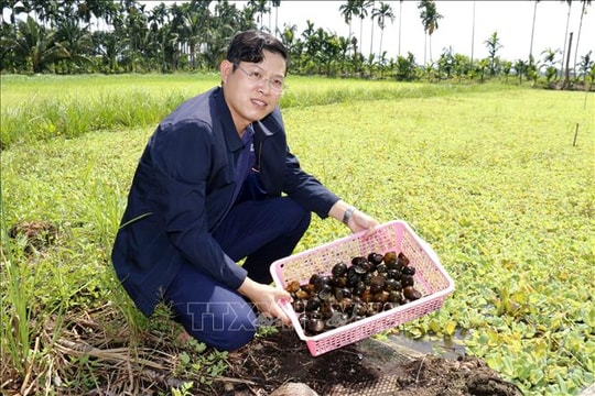 Khởi nghiệp từ những ao hồ hoang hóa ở quê hương Lâm Đồng