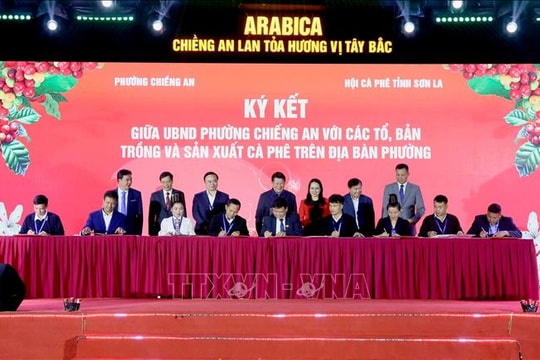 Xây dựng vùng cà phê đặc sản mang đậm bản sắc văn hóa địa phương