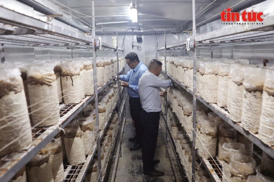 Ứng dụng trí tuệ nhân tạo nâng cao giá trị nông sản Việt trong kỷ nguyên số