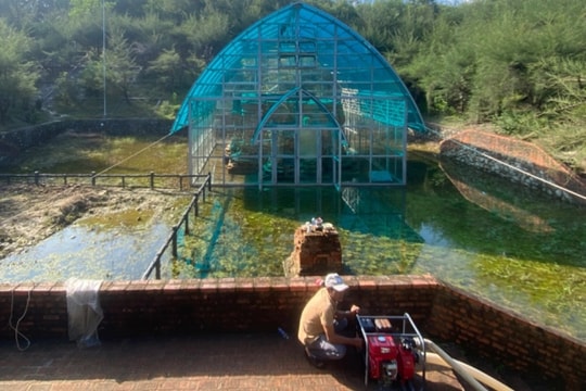 Tháp Chăm nghìn năm tuổi, di tích đặc biệt chưa hết ngập nước