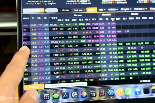 Cổ phiếu Novaland và Hoàng Anh Gia Lai tăng trần