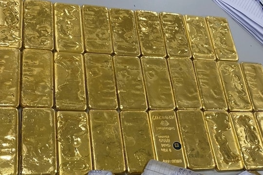 Nam sinh bán 30 cây vàng của bố mẹ, chuyển tiền cho công an dỏm