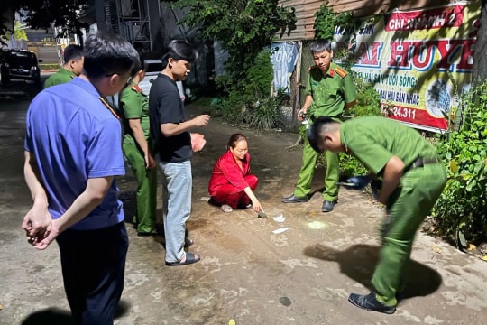 Người làm thuê trộm vàng, kim cương của cô chủ