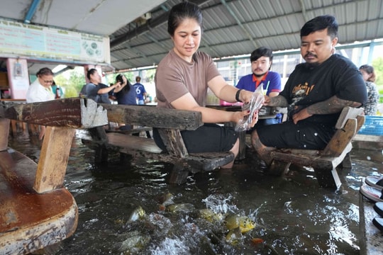 Nhà hàng bị ngập ở Thái Lan hút khách nhờ cá bơi quanh chân