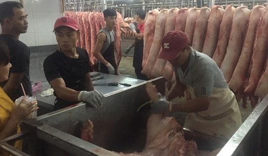 Giá heo cuối năm khó tăng đột biến