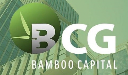 Bamboo Capital sẽ tổ chức đại hội cổ đông bất thường, dự kiến miễn nhiệm hàng loạt lãnh đạo