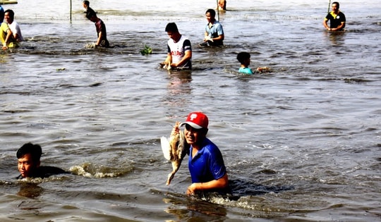 CLIP: Độc đáo cuộc thi bắt vịt đồng mùa nước nổi ở An Giang