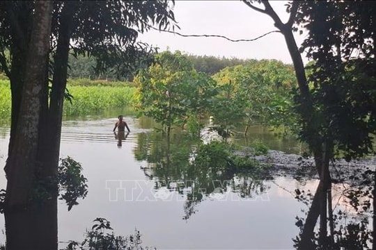 Hàng chục hecta hoa màu bị ngập do mưa lớn và xả lũ hồ Sông Ray