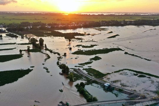 Hành trình "thay áo" trên đất phù sa sau hơn 2 thập kỷ đói... lũ