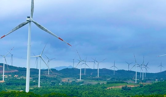 Điện gió Quảng Trị cắt giảm công suất, hướng đi nào cho phát triển năng lượng tái tạo bền vững?