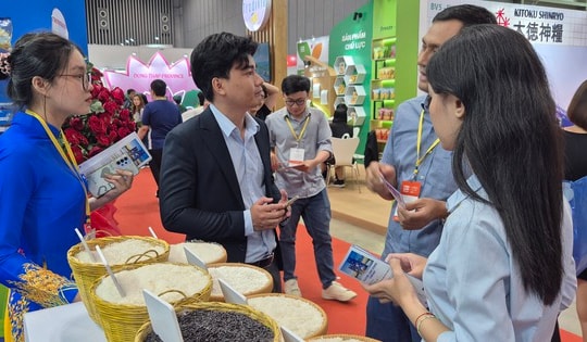 Gạo xuất khẩu Việt Nam trước thách thức mới