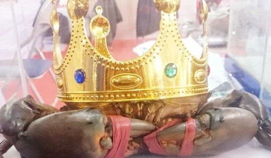 Thông tin mới quan trọng về tìm "vua cua" Cà Mau