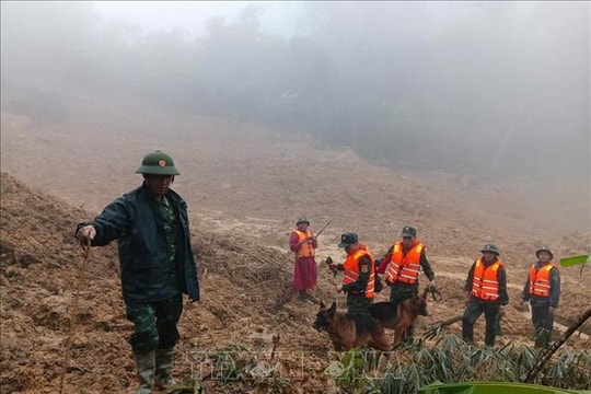 Sử dụng chó nghiệp vụ tìm kiếm nạn nhân mất tích