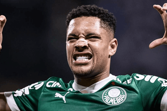 Tuyển thủ Brazil có thể bị treo giò 10 trận vì đăng hình 'hổ ngoạm cổ nai'