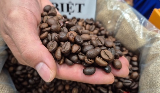 Giá cà phê hôm nay 16-11: Tuần buồn của giá cà phê