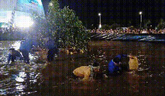 CLIP: Gay cấn cuộc thi mò cua biển nhanh nhất ở Cà Mau