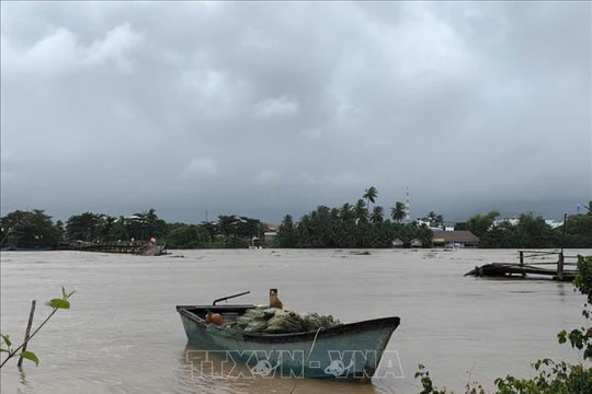 Lũ trên các sông ở tỉnh Khánh Hòa đang lên nhanh