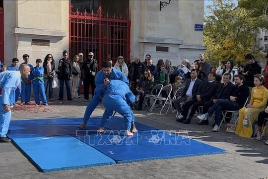 Vovinam - Việt Võ Đạo trở thành 'sứ giả văn hóa' tại châu Âu
