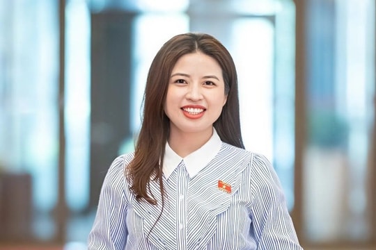 Ngành giáo dục kỳ vọng về những cơ chế, chính sách đặc thù để thực hiện Nghị quyết số 71