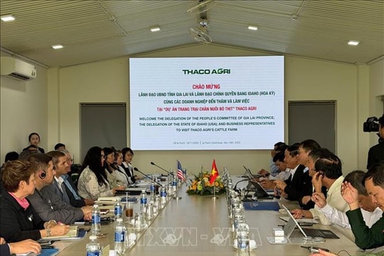 Bang Idaho (Hoa Kỳ) quan tâm tới mô hình chăn nuôi bò công nghệ cao