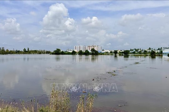 Cảnh báo vùng hạ lưu sông Hậu xuất hiện đỉnh triều trên báo động 3 từ ngày 21 - 22/11