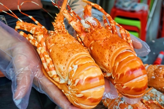 TPHCM: Quán vỉa hè bán tôm hùm như nhà hàng, tiền triệu khách vẫn xếp hàng