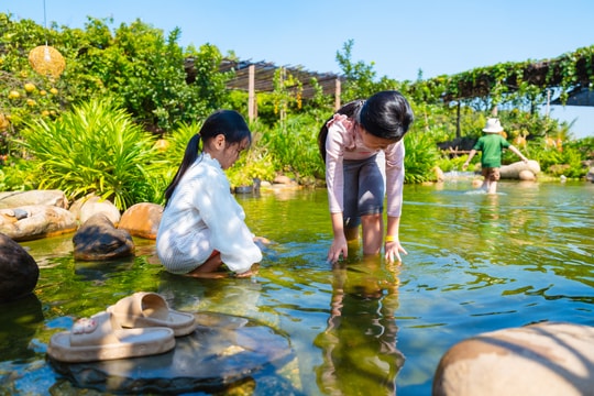 Cải tạo vườn nhà thành 'chốn về quê' cho du khách