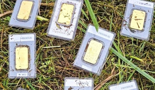 Đi cắt cỏ, nam công nhân tìm thấy 8 miếng vàng trị giá 920 triệu đồng