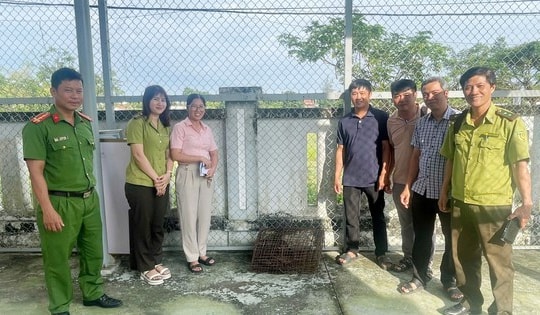 2 con vật quý hiếm xuất hiện ở Đà Nẵng