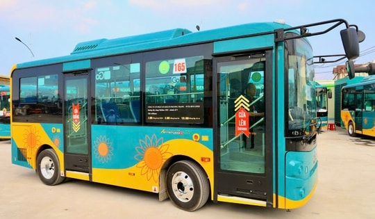 Sơ đồ chi tiết 6 tuyến buýt điện mới ở Côn Đảo: Người dân cần biết