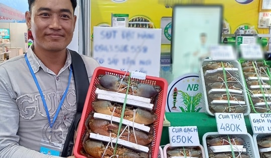 Lý do không phải ai cũng biết khiến cua Cà Mau được  ưa chuộng