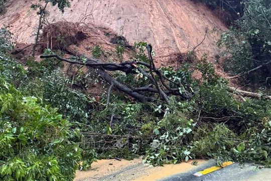 Khánh Hòa và Lâm Đồng phối hợp chốt chặn, đảm bảo an toàn trên đèo Sông Pha