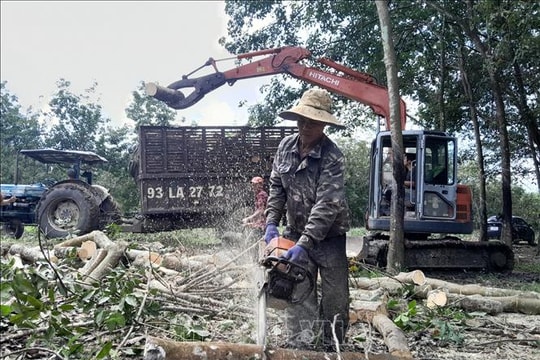 Tăng tốc sớm giải phóng mặt bằng dự án cao tốc Gia Nghĩa - Chơn Thành