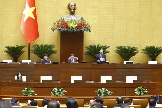 Ngày 19/11, Quốc hội tiếp tục thảo luận tháo gỡ vướng mắc trong thi hành Luật Đất đai