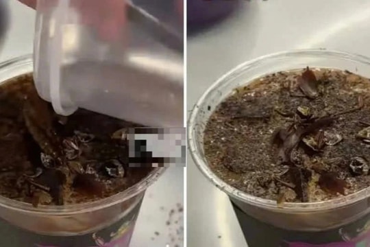 Quầy nước tung món cà phê rắc gián giá 166.000 đồng, mỗi ngày bán hơn 10 ly