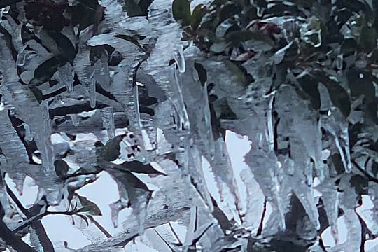 Băng tuyết xuất hiện trên đỉnh Tà Xùa