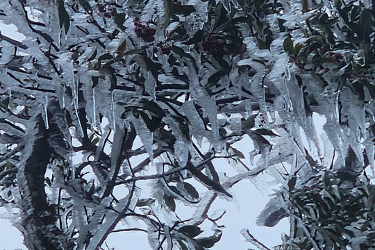 Du khách bất ngờ trước cảnh băng giá trên đỉnh Tà Xùa