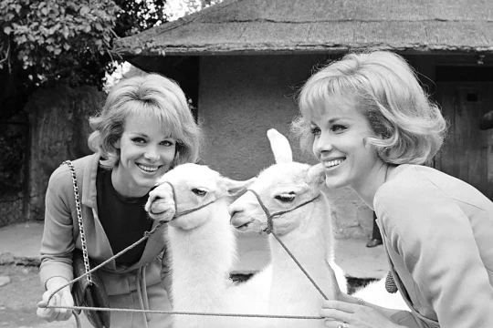 Cặp song sinh 'đẹp nhất thế giới' chọn an tử cùng ngày