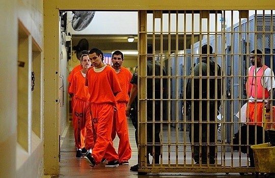 Bẫy tình sau song sắt