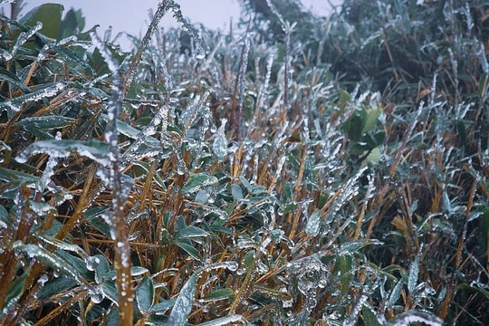 Đỉnh núi cao ở Lào Cai, Lai Châu xuất hiện băng giá