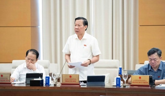 Cần hướng dẫn chi tiết cho việc thực thi Nghị quyết 173 và sửa đổi các luật liên quan