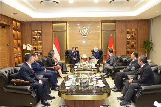 Tăng cường hợp tác kiểm toán Việt Nam - Indonesia