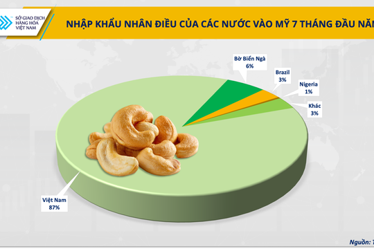 Hạt điều Việt Nam: Từ xuất khẩu thô đến cơ hội sữa hạt tại Mỹ