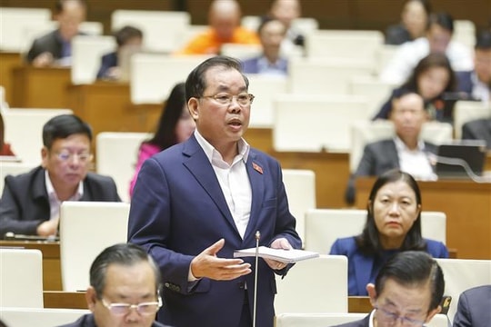 Sáp nhập đại học không thể cơ học, đề xuất bỏ đại học vùng