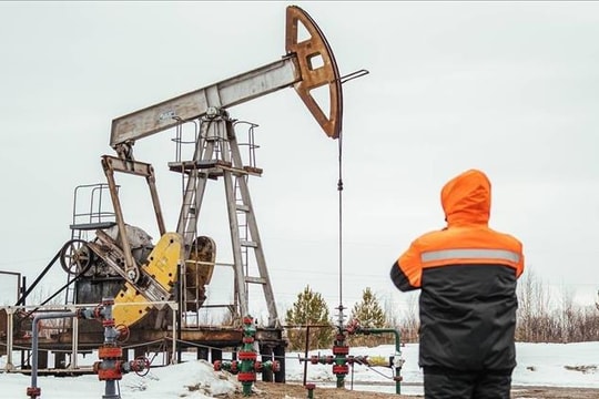 Giá dầu giảm hơn 2% sau động thái mới nhằm chấm dứt xung đột Nga - Ukraine