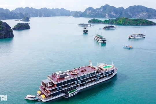 Quần đảo Cát Bà: Danh thắng Việt Nam vươn tầm quốc tế