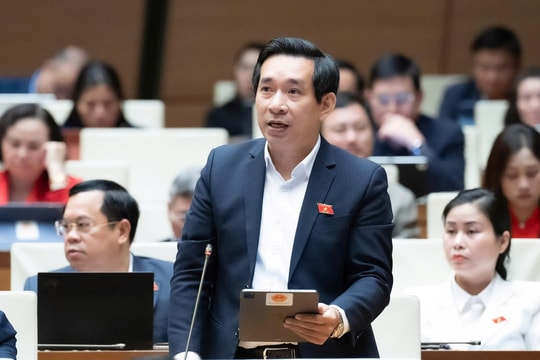 Học sinh tham gia bạo lực học đường 'cần phải lao động công ích'