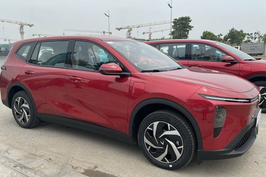 700 triệu nên mua VinFast Limo Green?